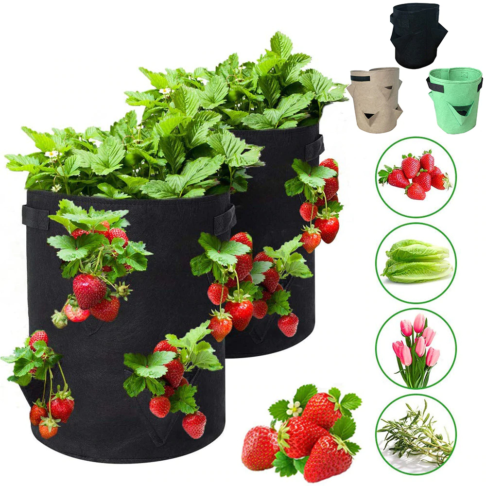 Outdoor Planting Grow Bag in Different Sizes