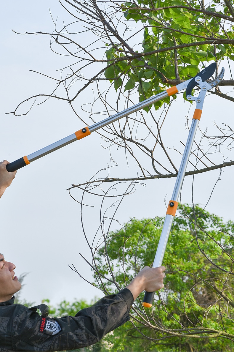 Professional Gardening Scissors