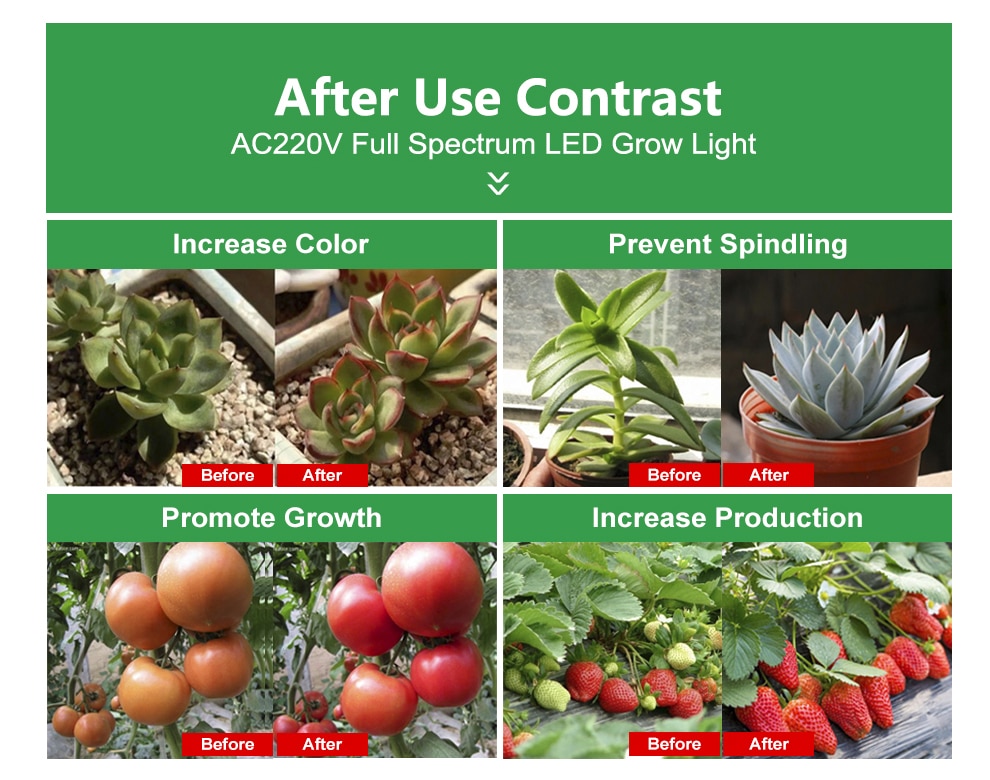 Full Spectrum LED Hydroponics Lamp