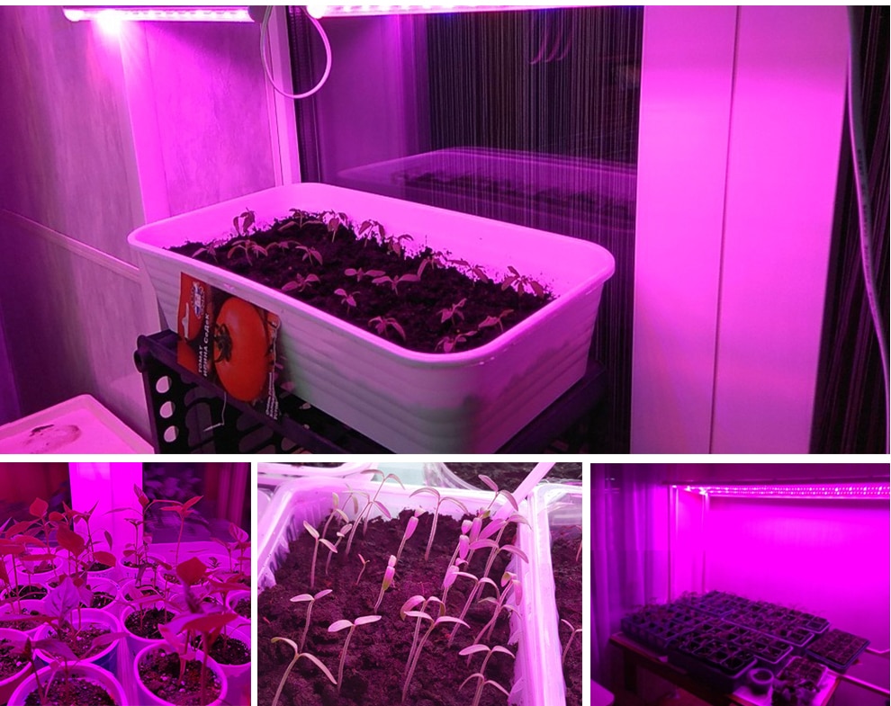 Full Spectrum LED Hydroponics Lamp